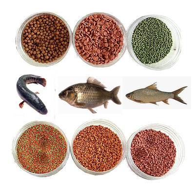 Advanced Automatic Compact Carp Shrimp Fish Feed Making Machine for Space-Saving Operations