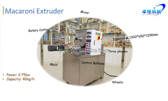 Delta Inverter Automatic Pasta Extruder Electric Pasta Maker Machine from OEM Zhuoheng