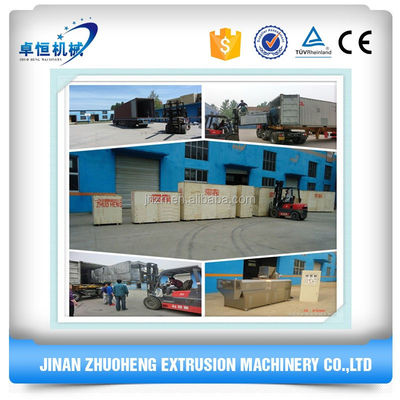 Customized Voltage TVP Making Machine for Textured Soya Protein Chunks Processing