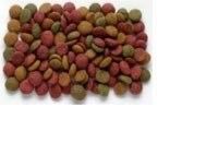 Sinking Pet Food Fish Feed Pellet Making Twin Screw Extruder Machine for Pellet Plant