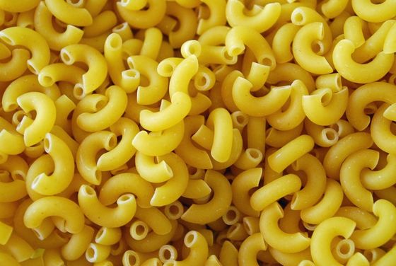 Food Grade Stainless Steel Macaroni Pasta Making Machine to Satisfy Clients' Needs