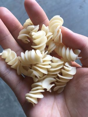 Food Grade Stainless Steel Macaroni Pasta Making Machine to Satisfy Clients' Needs