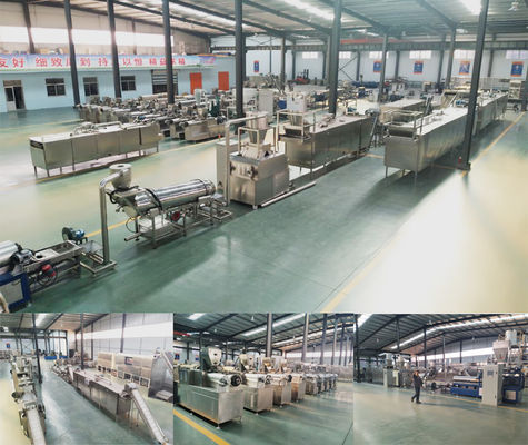 Pet Food Processing Machines for Floating Fish Feed Pellet Production in Food Beverage