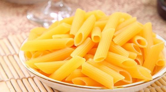 100kg per hour Automatic Grain Food Pasta Macaroni Processing Machine for Home Plant