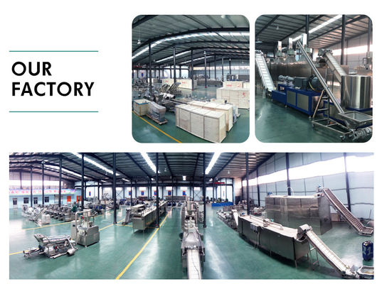 Stainless Steel Pet Food Processing Machine for Manufacturing Plant 23*3*3m Automatic