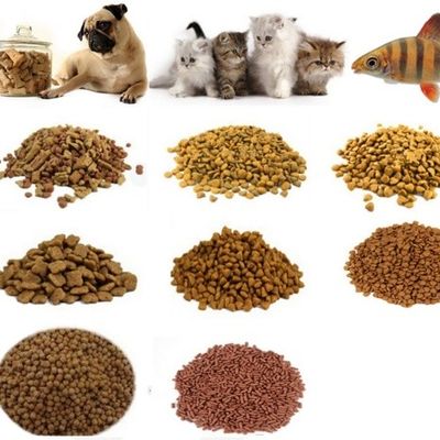 Food 150kg/h Capacity Fish Feed Pellet Making Processing Machine for Dry Small Pet Food