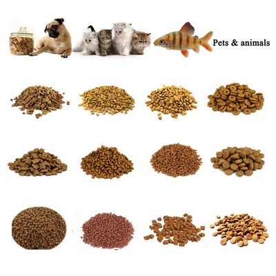 Siemens Motor Pet Food Extruder Machine Processing Line for Large Capacity Production