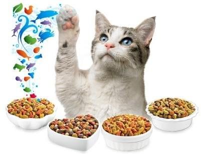 Fish Dog Cat Feed Making Processing Machine for Multi Functional Pet Food Production