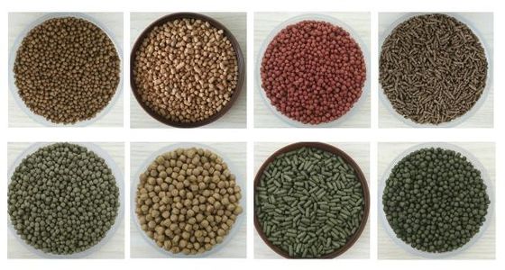 Customized Energy- Twin Screw Automatic Floating Fish Feed Extruder Manufacturing Machine
