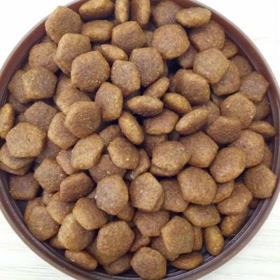 Small Dry Pedigree Dog Food Pellet Extrusion Equipment with Delta Inverter Technology