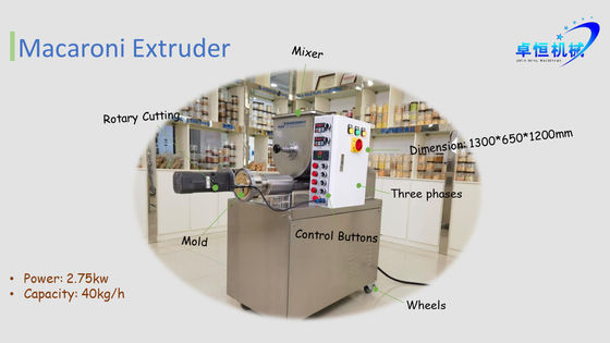 Automatic Pasta and Macaroni Manufacturing Machine with CE Certification Full Automatic