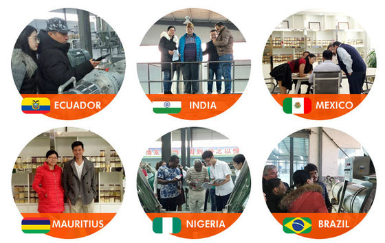 2000 KG Siemens Motor Macaroni Pasta Noodle Making Machine Production Line from Zhuoheng